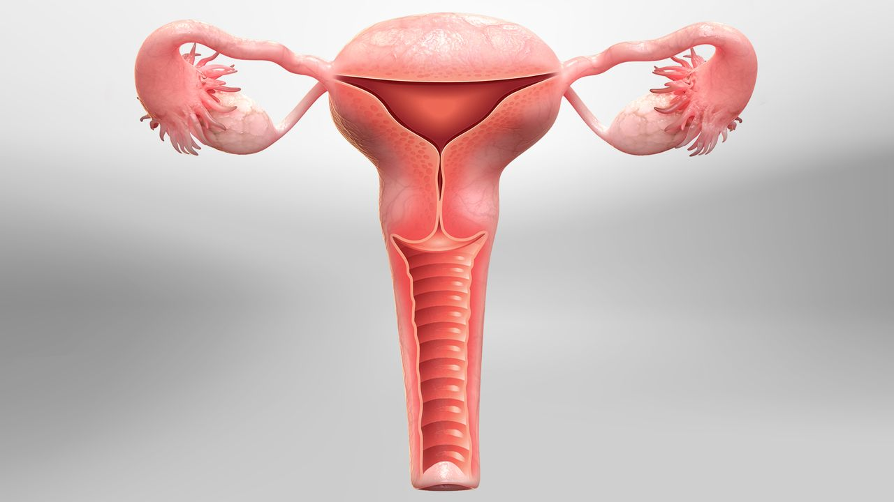 Hysterectomy Surgery Image 1